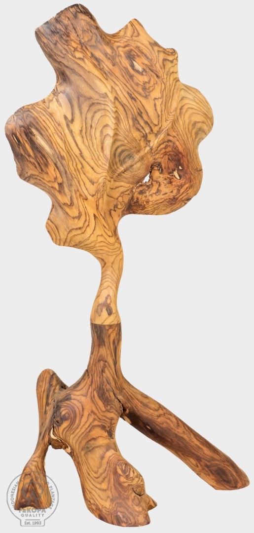 Levně FaKOPA s. r. o. WILL II - plastika z rosewoodu 110 cm